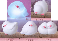 Java sparrow honwari light [All 5 type set(Full Complete)]