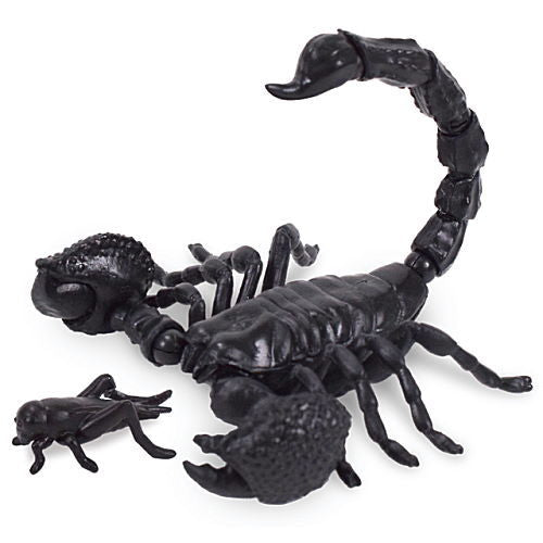 Scorpion with Cricket [1.Black]