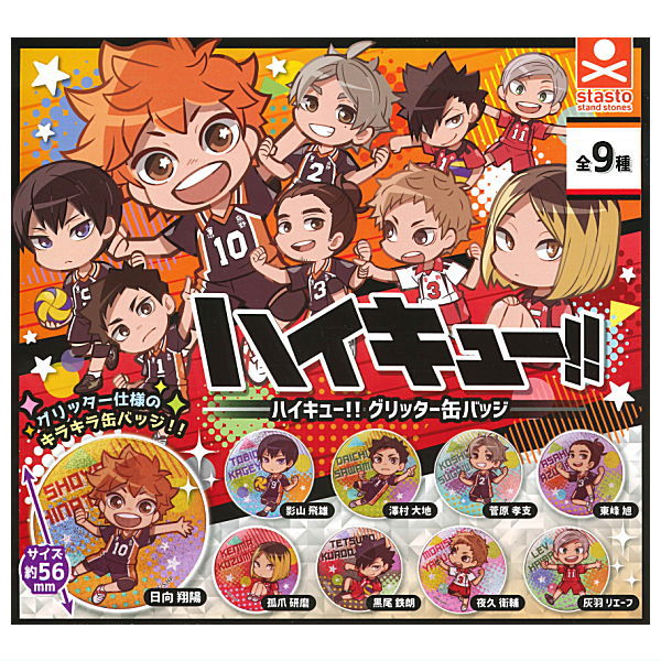 Haikyu!! Glitter Can Badge [All 9 type set(Full Complete)]