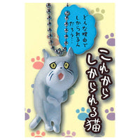 Shigotoneko mini Key chain collection [3.Korekarashikarareru Neko]