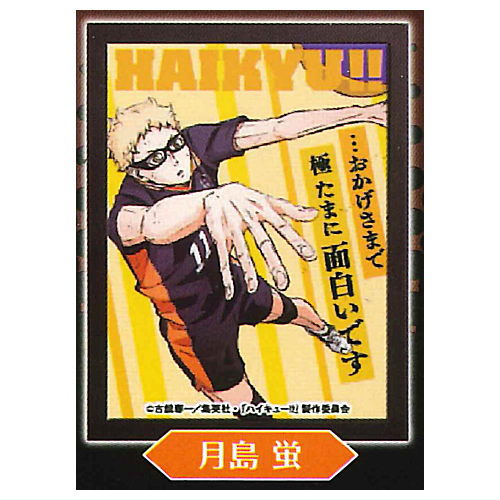 Haikyu!! Emotional Light Up Poster Collection [3.Kei Tsukishima]