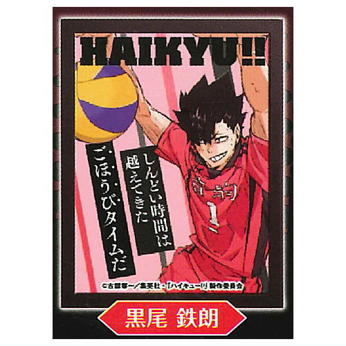 Haikyu!! Emotional Light Up Poster Collection [6.Tetsuro Kuroo]