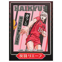 Haikyu!! Emotional Light Up Poster Collection [8.Lev Haiba]