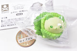 Animal Attraction Vegetable fairy vol.6 [1.Cabbat]
