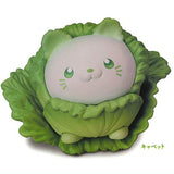 Animal Attraction Vegetable fairy vol.6 [1.Cabbat]
