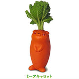 Animal Attraction Vegetable fairy vol.6 [2.Meer Carrot]
