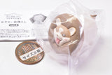 Animal Attraction Vegetable fairy vol.6 [4.Kinokogi]