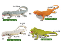 Lizard kingdom Giant lizard appears!! [All 4 type set(Full Complete)]