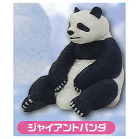 Capsule ANIA Daisuki! Animal world [1.Giant Panda]