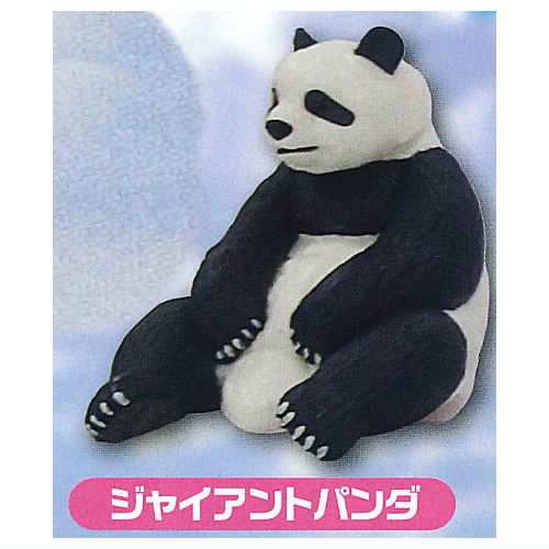 Capsule ANIA Daisuki! Animal world [1.Giant Panda]