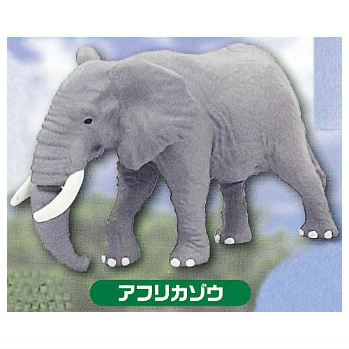 Capsule ANIA Daisuki! Animal world [2.African Elephant]
