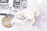 Capsule ANIA Daisuki! Animal world [3.Polar Bear]