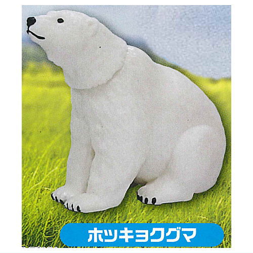 Capsule ANIA Daisuki! Animal world [3.Polar Bear]