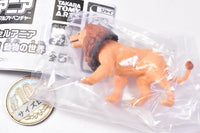 Capsule ANIA Daisuki! Animal world [4.Lion]