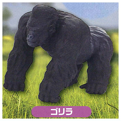 Capsule ANIA Daisuki! Animal world [5.Gorilla]