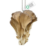 Nature Techni Colour MONO PLUS Mushroom Soft Mascot 2 [3.Maitake]