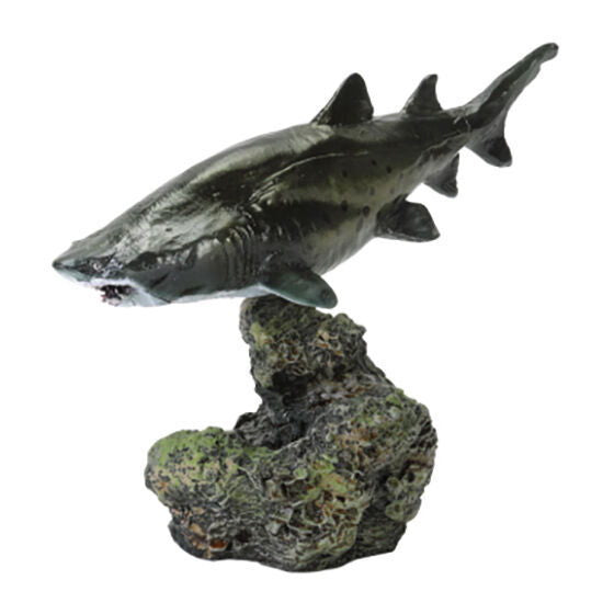 Ikimono Encyclopedia Mini Collection Shark 02 [3.Sand tiger shark]