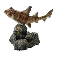 Ikimono Encyclopedia Mini Collection Shark 02 [5.Cat shark]