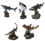 Ikimono Encyclopedia Mini Collection Shark 02 [All 5 type set(Full Complete)]