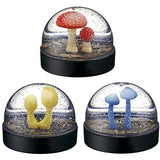 Water Dome Factory Mushroom [All 3 type set(Full Complete)]