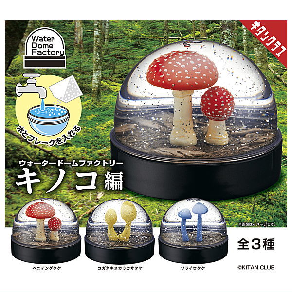 Water Dome Factory Mushroom [All 3 type set(Full Complete)]