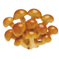 Nature Techni colour MONO PLUS Mushroom earplug collection [6.Nameko]