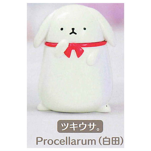 Tsukicot Friends A [2.Tsukiusa. Procellarum (Shiroda)]