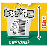 Calbee Jagarico design barcode acrylic ball chain [5.Hosoiyatsu Salad]
