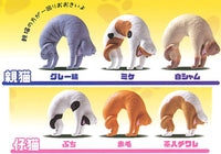 Cat bridge Part.2 [All 6 type set(Full Complete)]