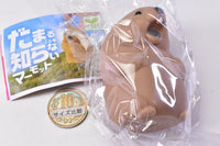 The Unable to Shut Up Marmot [3.Beige]