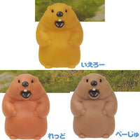The Unable to Shut Up Marmot [All 3 type set(Full Complete)]