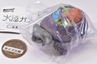 Continent Tortoise [1.Australian Turtle]