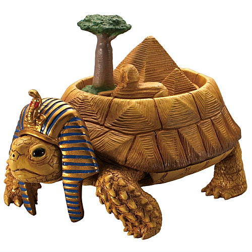 Continent Tortoise [3.African Turtle]