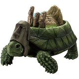 Continent Tortoise [5.South American Turtle]