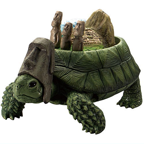 Continent Tortoise [5.South American Turtle]