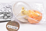 Oishikatatsumuri Curry mai mai [4.Butter chicken no mai mai]