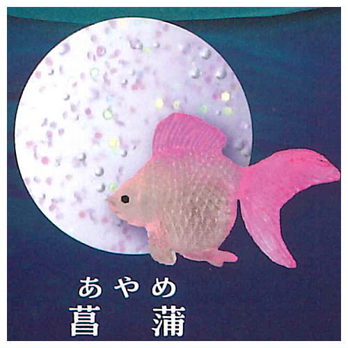 Illumination Gel Slimy Goldfish [2.Ayame]