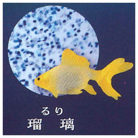Illumination Gel Slimy Goldfish [3.Ruri]
