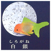 Illumination Gel Slimy Goldfish [4.Shirogane]