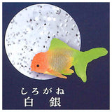 Illumination Gel Slimy Goldfish [4.Shirogane]