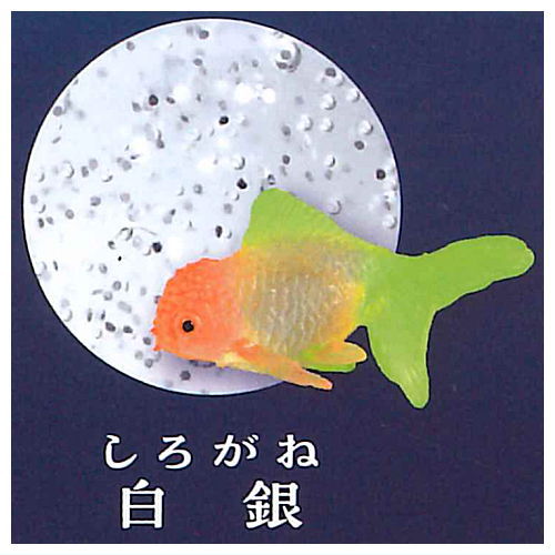 Illumination Gel Slimy Goldfish [4.Shirogane]