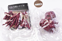 Tsumugibako Part.3 izon [4.Sutora red ver.]