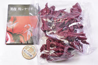 Tsumugibako Part.3 izon [6.Ishushinshokutai red ver.]
