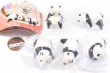 Fuchiyasumi Panda [All 5 type set(Full Complete)]