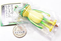 Subetegaoshimaininatta Frog Gradient color [1.Green frog and ice]