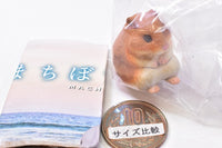 Machiboke Part.12 [1.Golden hamster]