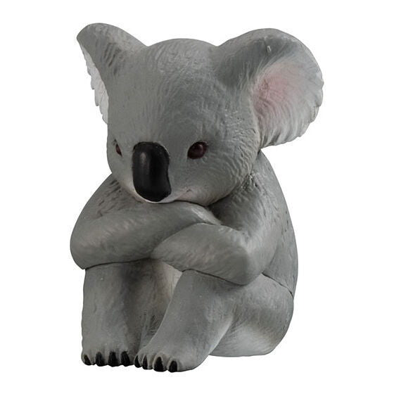 Machiboke Part.12 [4.Koala]