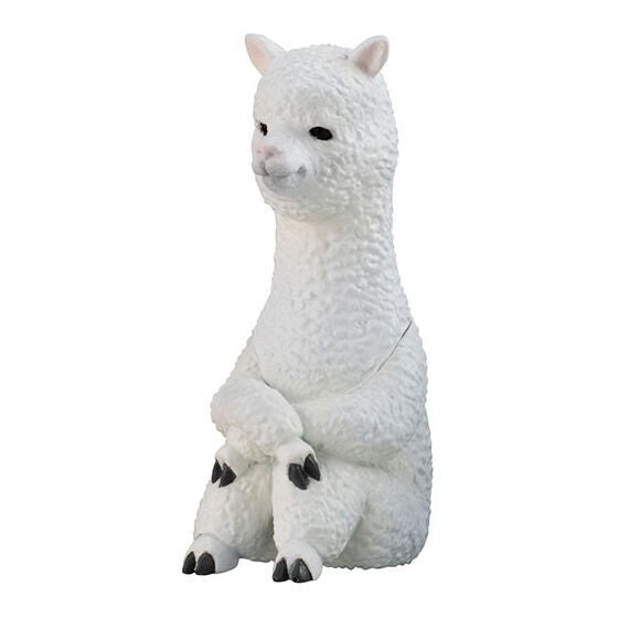 Machiboke Part.12 [5.Alpaca]