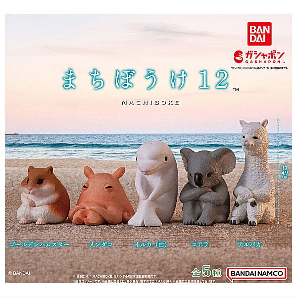 Machiboke Part.12 [All 5 type set(Full Complete)]