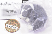 Mofumofu Corgi [1.Marumaru A]